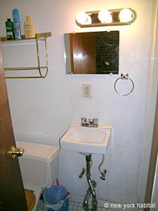 New York Studio T1 appartement location vacances - salle d'eau (NY-12436) photo 1 sur 4