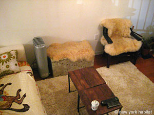 New York 3 Zimmer ferienwohnung - wohnzimmer (NY-12441) photo 4 von 5