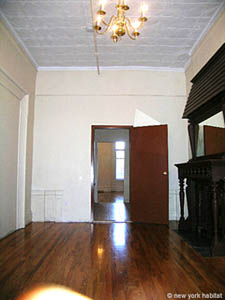 New York 1 Bedroom unfurnished apartment rental living room photo 8