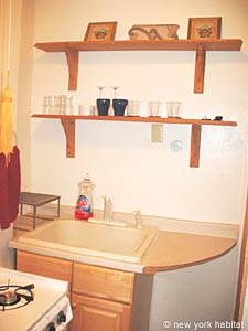 New York Studio/T1 logements location appartements - cuisine (NY-12518) photo 3 de 3
