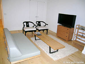 New York 1 Bedroom accommodation living room photo 8
