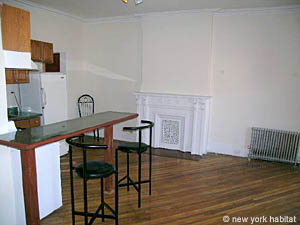 New York 1 Bedroom unfurnished apartment rental living room 1 photo 10