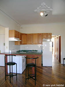 New York 1 Bedroom unfurnished apartment rental kitchen 1 photo 12