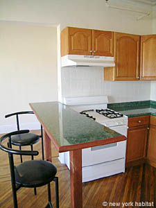 New York 1 Bedroom unfurnished apartment rental kitchen 1 photo 14
