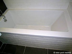 New York 1 Bedroom - Loft unfurnished apartment rental bathroom photo 13