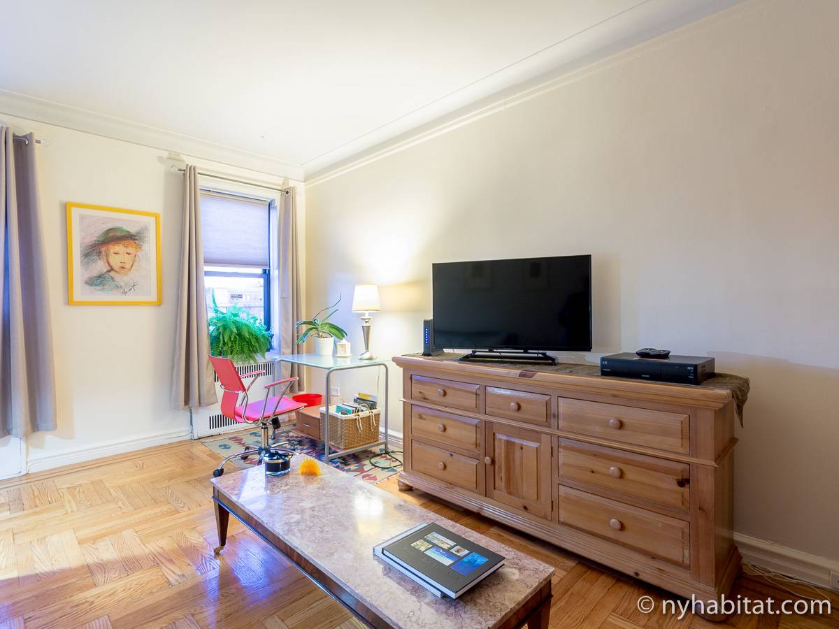 New York 1 Bedroom roommate share apartment - living room (NY-12562) photo 3 of 4