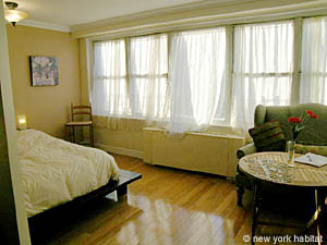 New York Alcove Studio/T1 appartements location vacances - s&eacute;jour (NY-12607) photo 3 de 7