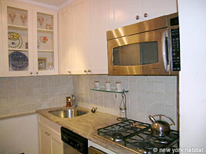 New York Alcove Studio/T1 appartements location vacances - cuisine (NY-12607) photo 3 de 3