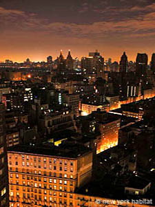 New York Alcove Studio/T1 appartements location vacances - autre (NY-12607) photo 4 de 4