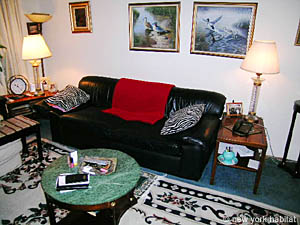 New York 2 Camere appartamento da dividere - soggiorno (NY-12608) photo 3 di 5