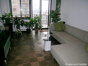 New York 1 Camera appartamento casa vacanze - soggiorno (NY-12642) photo 4 di 8