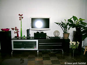New York 1 Camera appartamento casa vacanze - soggiorno (NY-12642) photo 2 di 8