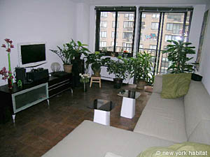 New York 1 Camera appartamento casa vacanze - Appartamento riferimento NY-12642