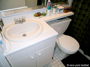 New York 1 Camera appartamento casa vacanze - bagno (NY-12642) photo 3 di 3