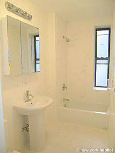 New York 1 Bedroom unfurnished apartment rental bathroom photo 16