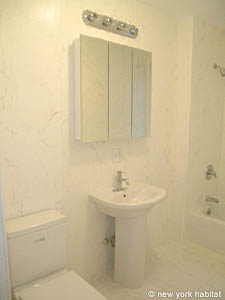 New York 1 Bedroom unfurnished apartment rental bathroom photo 17