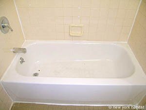 New York Studio unfurnished apartment rental bathroom photo 18