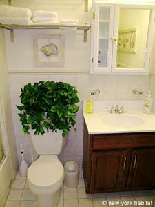 New York T3 appartements location vacances - salle d'eau 1 (NY-12656) photo 4 de 4