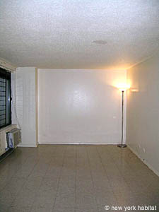 New York Studio unfurnished apartment rental living room photo 8