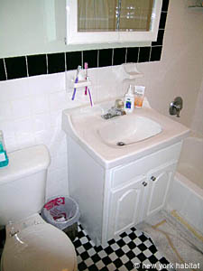 New York 2 Bedrooms apartment bathroom 2 photo 3