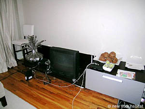 New York 2 Bedrooms apartment living room photo 11