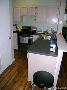New York 2 Bedrooms apartment kitchen photo 16