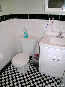 New York 2 Bedrooms apartment bathroom 2 photo 27