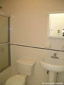 New York 2 Bedrooms unfurnished apartment rental bathroom 2 photo 13