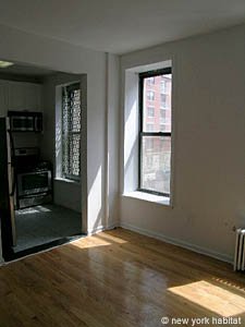 New York 2 Bedrooms unfurnished apartment rental living room photo 15