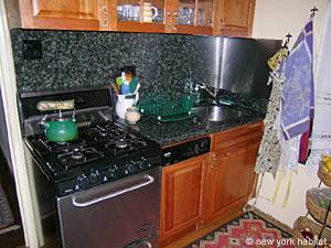 New York 1 Bedroom apartment kitchen photo 6