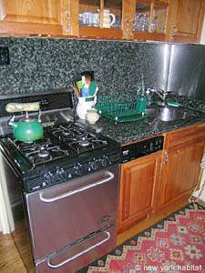 New York 1 Bedroom apartment kitchen photo 7
