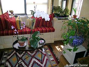 New York 1 Bedroom apartment living room photo 18