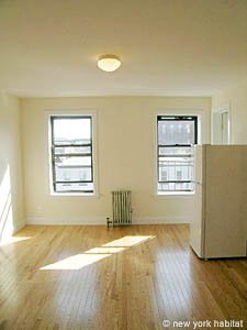 New York 2 Bedrooms unfurnished apartment rental living room photo 17