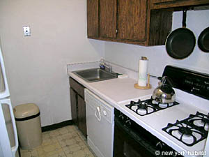 New York 1 Camera appartamento cucina photo 13
