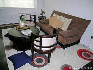 New York 1 Bedroom apartment living room photo 2