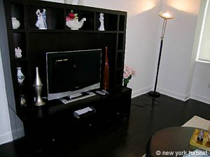 New York 1 Bedroom apartment living room photo 5