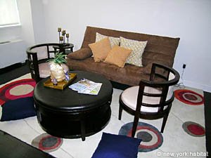 New York 1 Bedroom apartment living room photo 7