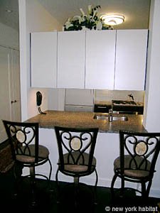 New York 1 Bedroom apartment kitchen photo 8