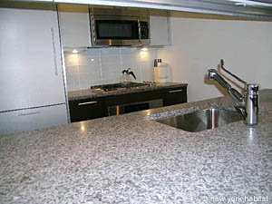 New York 1 Bedroom apartment kitchen photo 9