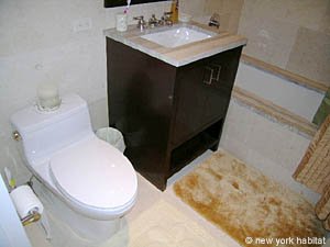 New York 1 Bedroom apartment bathroom photo 24