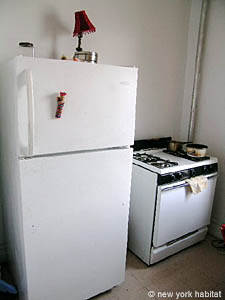 New York 1 Bedroom apartment kitchen photo 3