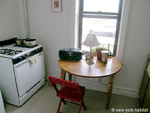 New York 1 Bedroom apartment kitchen photo 4