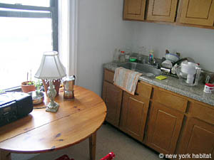 New York 1 Bedroom apartment kitchen photo 5