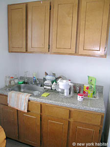 New York 1 Bedroom apartment kitchen photo 6