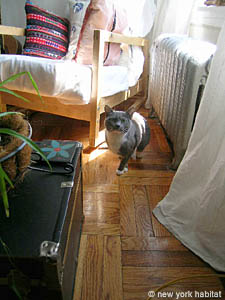 New York 1 Bedroom apartment living room photo 8