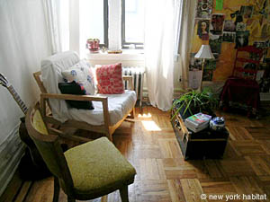 New York 1 Bedroom apartment living room photo 15
