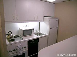 New York T2 logement location appartement - cuisine (NY-12704) photo 2 sur 3