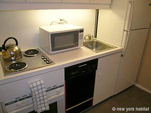New York T2 logement location appartement - cuisine (NY-12704) photo 3 sur 3