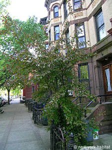 New York 3 Bedrooms unfurnished apartment rental living room photo 4