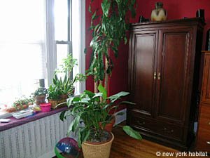 New York 3 Zimmer wohnung bed breakfast - wohnzimmer (NY-12723) photo 6 von 17
